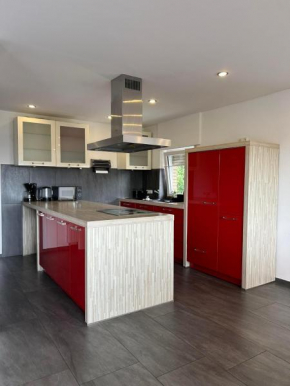 O107 XXL I 160m2 I Kamin I Balkon I 2 WC I Kücheninsel